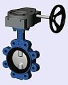 Lugged Butterfly Valve Gear